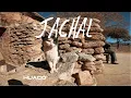 Jachal-Hauco-Agua negra