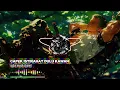 Lagu viral tiktok regea/ CAPEK ISTIRAHAT SEJENAK /#reggae #onepiece 