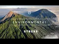 Environmental Stress 101 A Complete Guide to Understanding and Managing It
