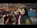 Download Lagu KESERUAN PAGELARAN PENTAS AGUSTUSAN DENGAN JUDUL JOKO KENDIL‼️suwun ibu2 semangatnya