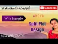 Anova Split Plot Design Ep 06 Sinhala