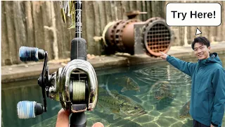 I Catch a Fish, Then a Stranger Picks My Next Spot!