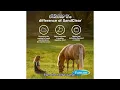 Farnam Sand Clear Review Does This Vet-Recommended Psyllium Crumbles Work for Sand Colic