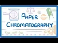 GCSE Chemistry - Paper Chromatography