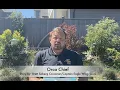 World Oceans Week Victoria story reading Orca Chief with Eagle Wing Tours Victoria BC