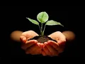 Parable of the Sower but written by teens with AD
