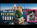This New York Pet Store Has the Most Incredible Pet Accessories