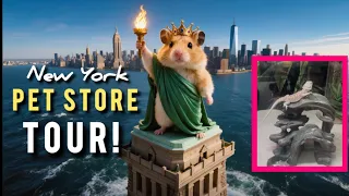 This New York Pet Store Has the Most Incredible Pet Accessories