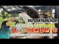 Download Lagu MASTERAN CENDET TERBAIK PALING DICARI 2025📍FULL TEMBAKAN GEREJA SAMBUNG TENGKEK BUTO