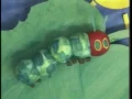The Very Hungry Caterpillar