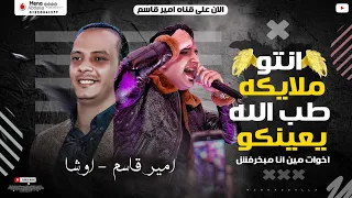 امير قاسم 2020 اخوات مين انا مبخرفش اغانى 2021 اوشا مواويل 2021  امير قاسم 2020 اخوات مين انا مبخرفش اغانى 2021 اوشا مواويل 2021
