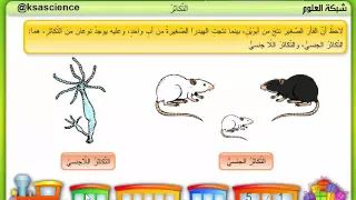 أنواع التكاثر 