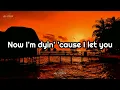 Aerosmith - Cryin' (Lyrics)