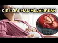 Download Lagu CIRI-CIRI IBU HAMIL MAU MELAHIRKAN SEBENTAR LAGI