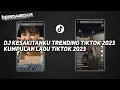 Download Lagu DJ AKU RELA MELEPASMU VIRAL TIKTOK 2023 | DJ KESAKITANKU BOOTLEG