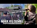 SASAK NDEK KU SEMEL EVI MARIANI | DANGDUT KOPLO ALDEVA MUSIK 01