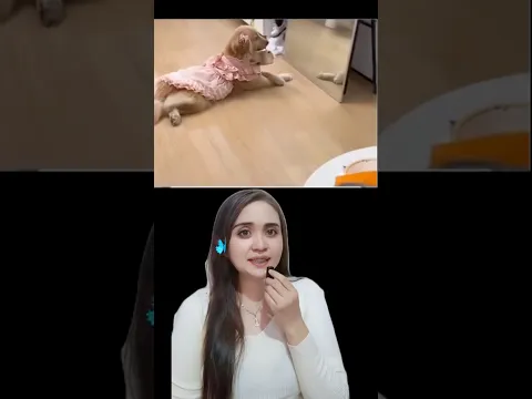 Doggy ini merasa paling cantik😱#fyp #shorts #story #subscribe