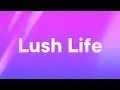 Download Lagu Zara Larsson - Lush Life (Lyrics)