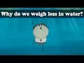 Archimedes Principle - Why do we weigh less in water