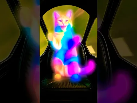 😹Cat VS Asteroid?!☄️🙀 The Pilot Guy Lost His Mind!😭🤣 #cat #cattales #catfunny