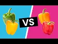 Green Yellow Orange Red Bell Peppers - What s the Difference