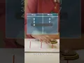 This math puzzle can t be solved in a lifetime
