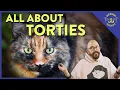 What is Tortitude Cat Daddy Dictionary
