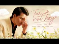 Download Lagu Tình Đã Vụt Bay - Quốc Thiên | Lyric Video
