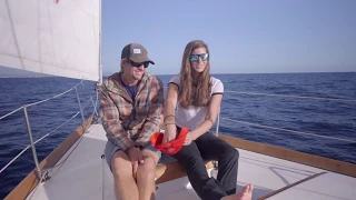 Sailing Avocet: Q & A