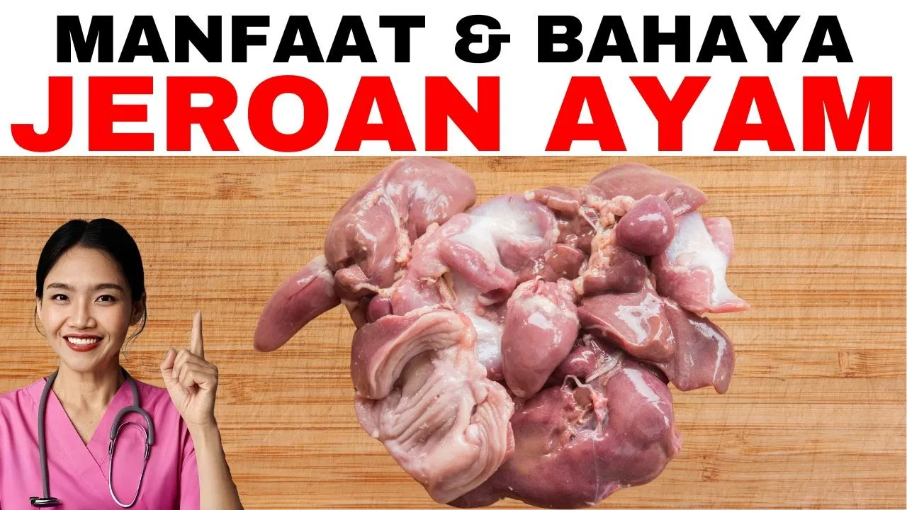 Manfaat & Bahaya Jeroan Ayam untuk Kesehatan | dr.Emasuperr Manfaat & Bahaya Jeroan Ayam untuk Kesehatan | dr.Emasuperr