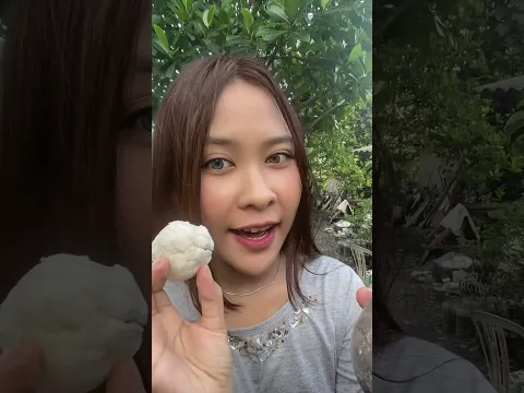 MENURUT KALIAN INI BAKAL NUMBUH GASI?? NUMBUHIN biji chia seed di mobil!! #shortvideo