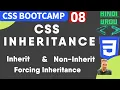 What is CSS inheritance CSS non Inheritance list skillsepisode