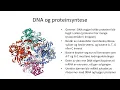 Naturfag - Genetikk, arv og miljø