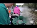 NH Chronicle Panning for gold in New Hampshire