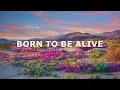 Bea and her Business - Born To Be Alive (Lyrics)