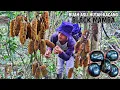 Download Lagu Berpetulang ke hutan mencari buah-buahan ke hutan, dan memasak sayuran liar | Kang Kumang