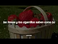 Download Lagu Troye Sivan — Strawberries \u0026 Cigarettes [Sub. Español]