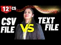 Difference Between Text File and CSV File Class 12 CS