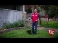 How to Prevent and Treat Fleas and Ticks Tractor Supply Co