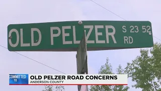 Concerns on Old Pelzer Road