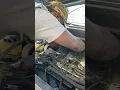 2009 Nissan Murano Coil Pack replacement