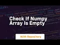 check if numpy array is empty