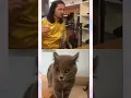 Download Lagu Duet Cat\u0026Man #smile #memes #funny