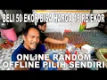 Download Lagu BELI 50 EKOR BISA HARGA 15 RIBUAN SATUNYA