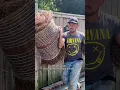 You NEED TO KNOW this about PINE STRAW