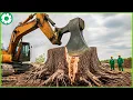 Download Lagu Verbluffend snelle grote kettingzaag en autobreker voor het zagen van bomen | Zware machines