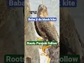 Download Lagu Baaz ਬਾਜ਼ black kite Guru Gobind Singh ji @rootspunjabi4680 #blackkite #santbhindrawale # #punjabi