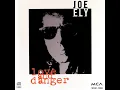 The Road Goes On Forever - Joe Ely