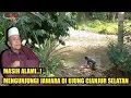Download Lagu VIRAL..! Jawara Yang Masih Hidup Di Kampung Ujung Cianjur Selatan Abah Darojat