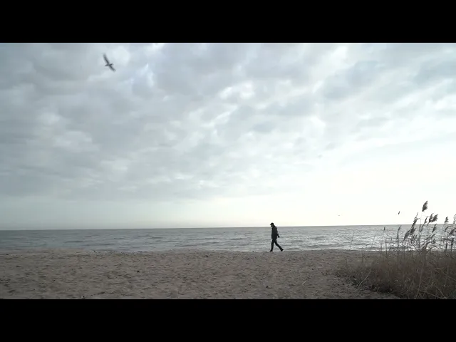 background images